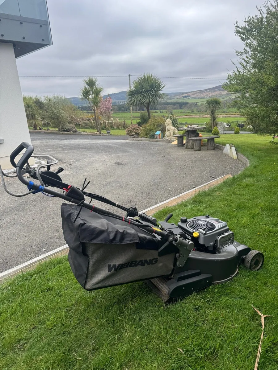 Weibang 56 VE lawnmower - Image 3