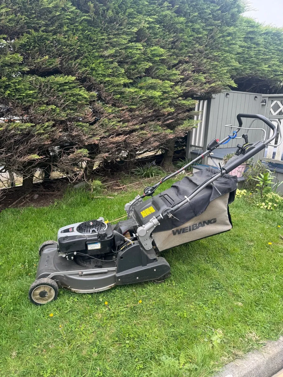 Weibang 56 VE lawnmower - Image 1
