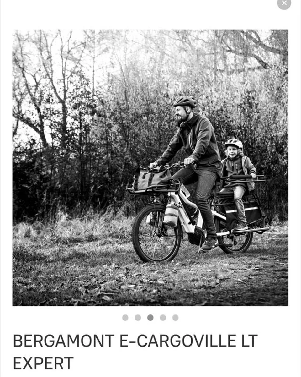 Electric Cargo Bike - Image 3
