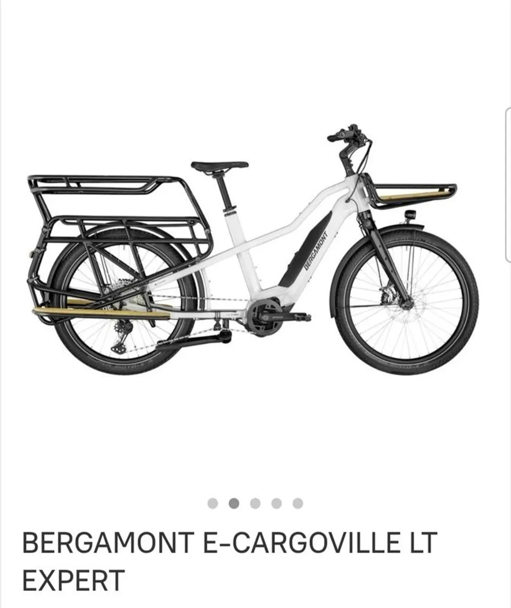Electric Cargo Bike - Image 4