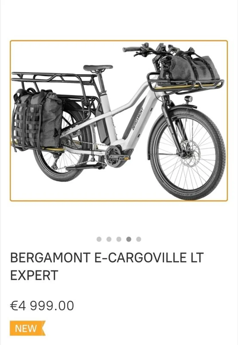 Electric Cargo Bike - Image 1