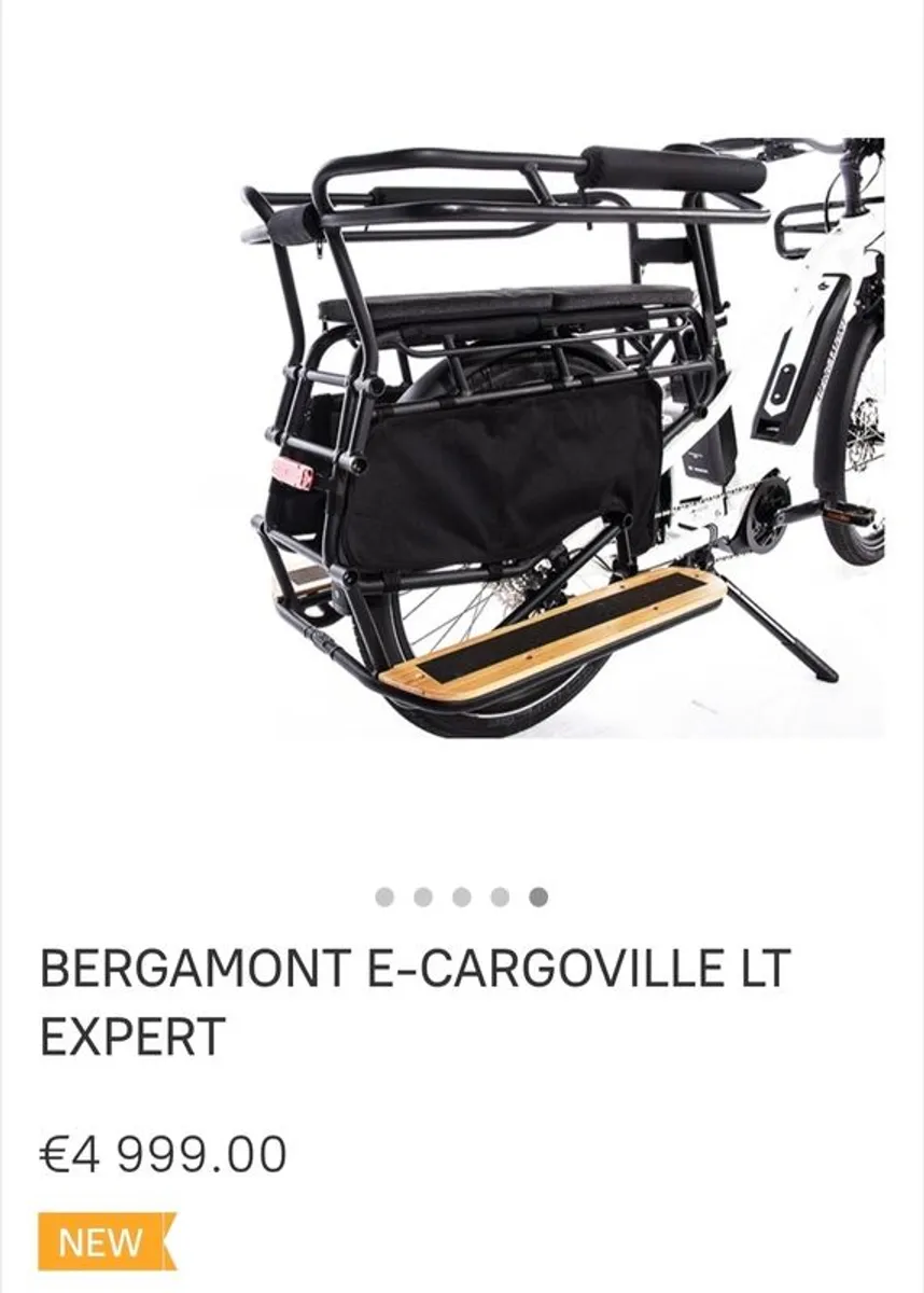 Electric Cargo Bike - Image 2