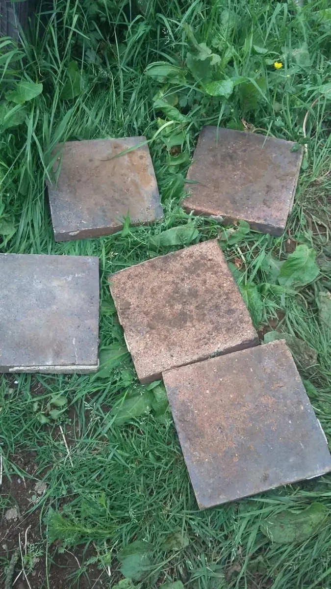 Bangor blue slates chimney pots floor ridge tiles - Image 4
