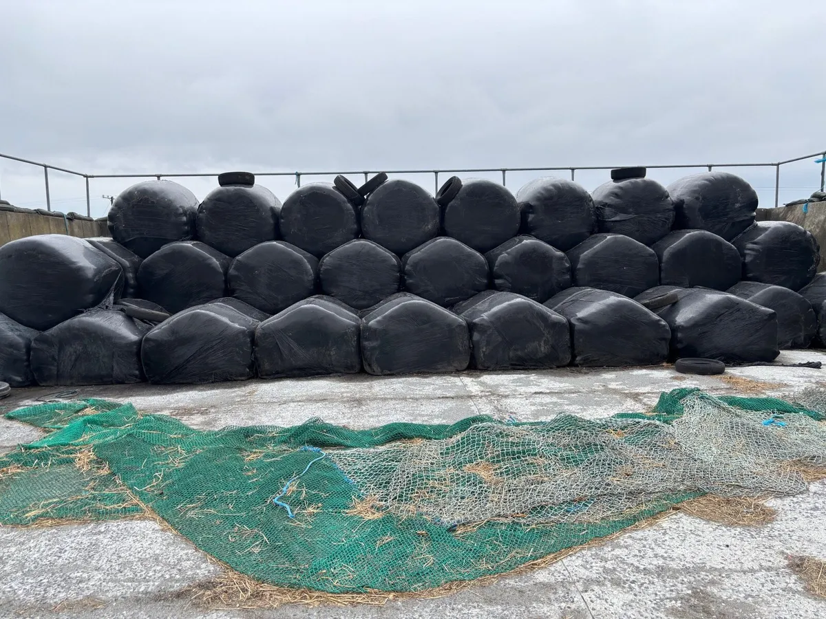 Organic silage