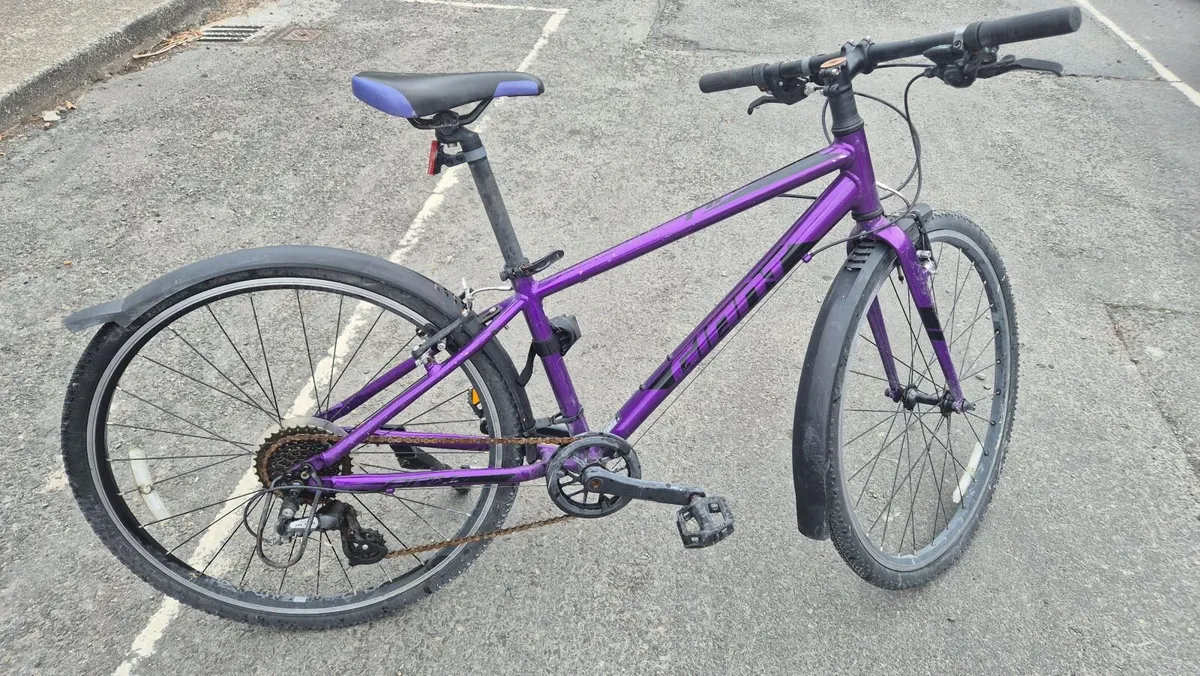 Giant ARX 24 kids bike (purple) - Image 1