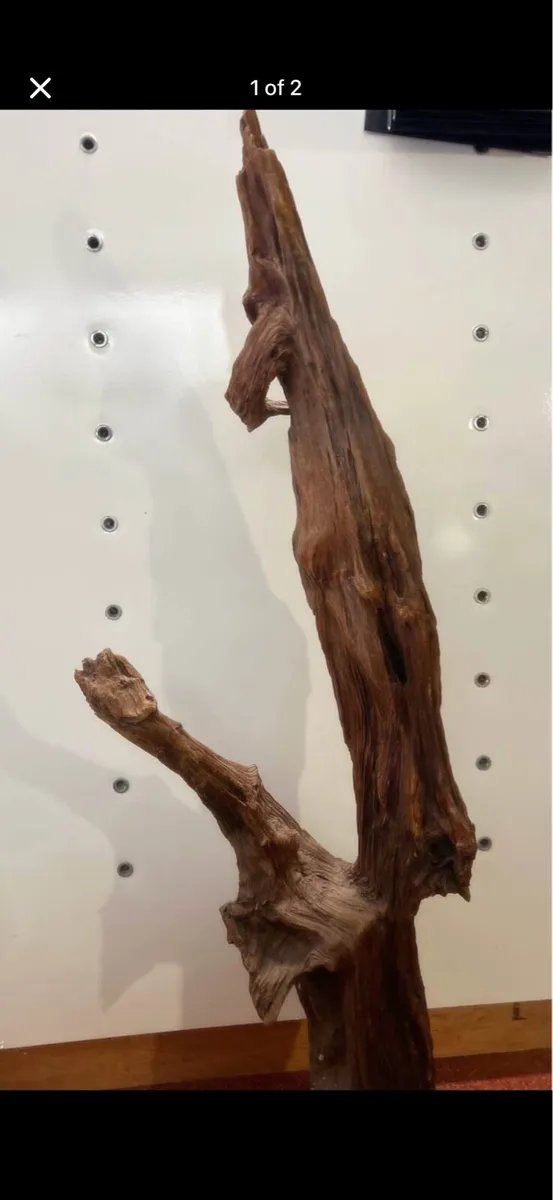 Bogoak sculpture pieces - Image 1