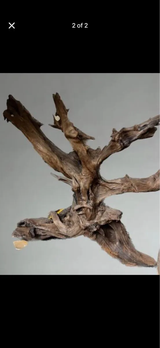 Bogoak sculpture pieces - Image 2
