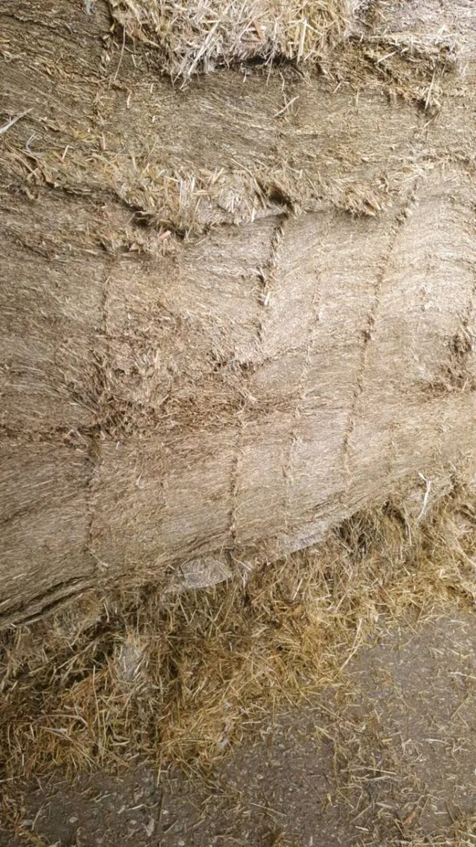 Silage bales and pit for sale - Image 1