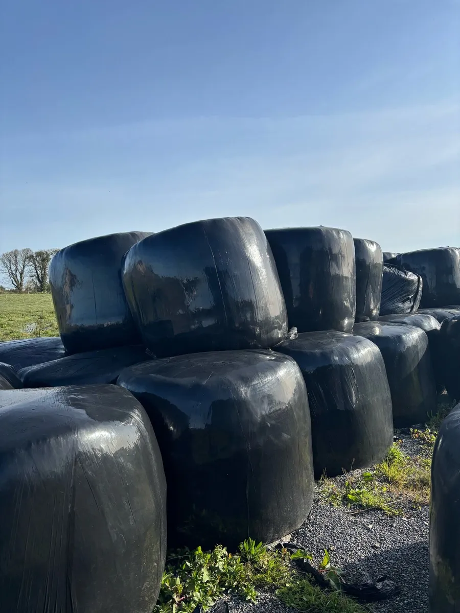 Sillage for Sale - Image 1