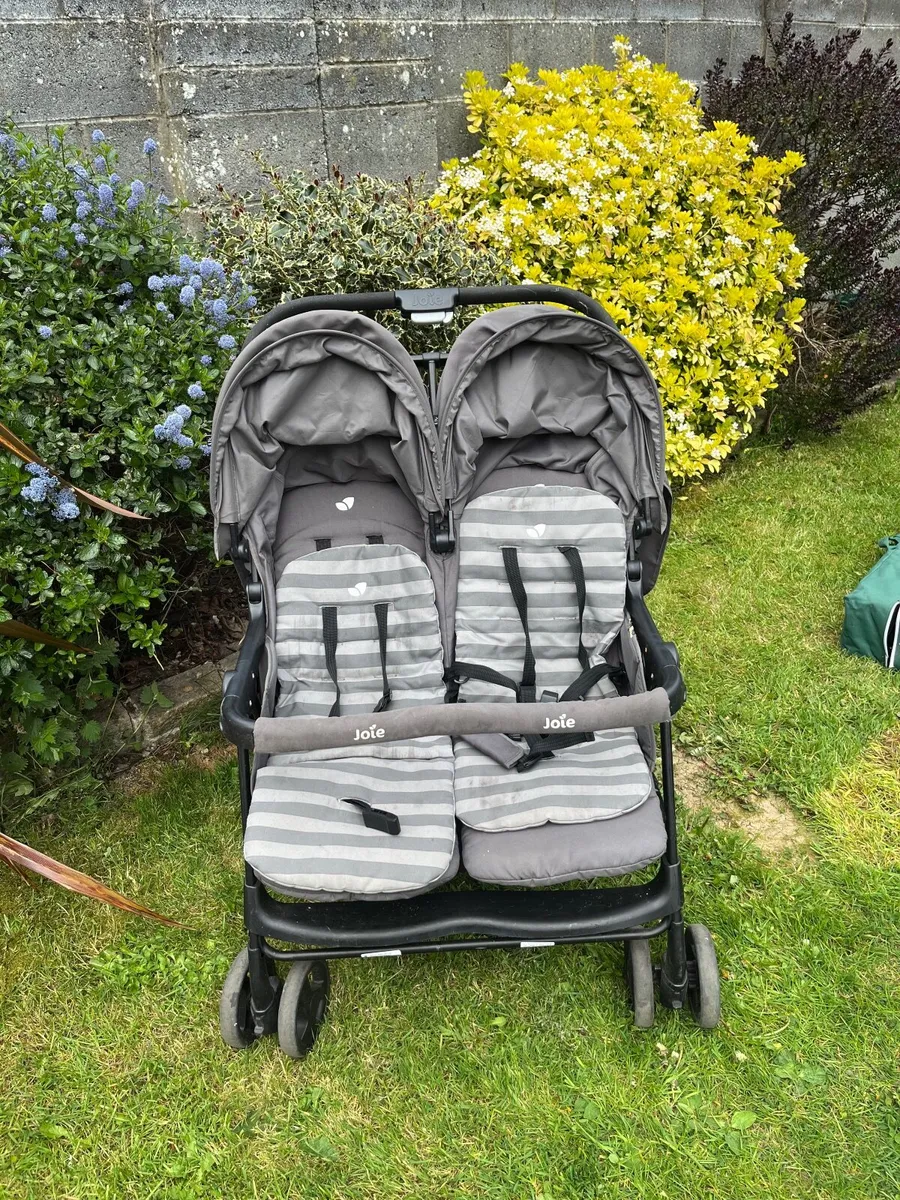 Double buggy - Image 1
