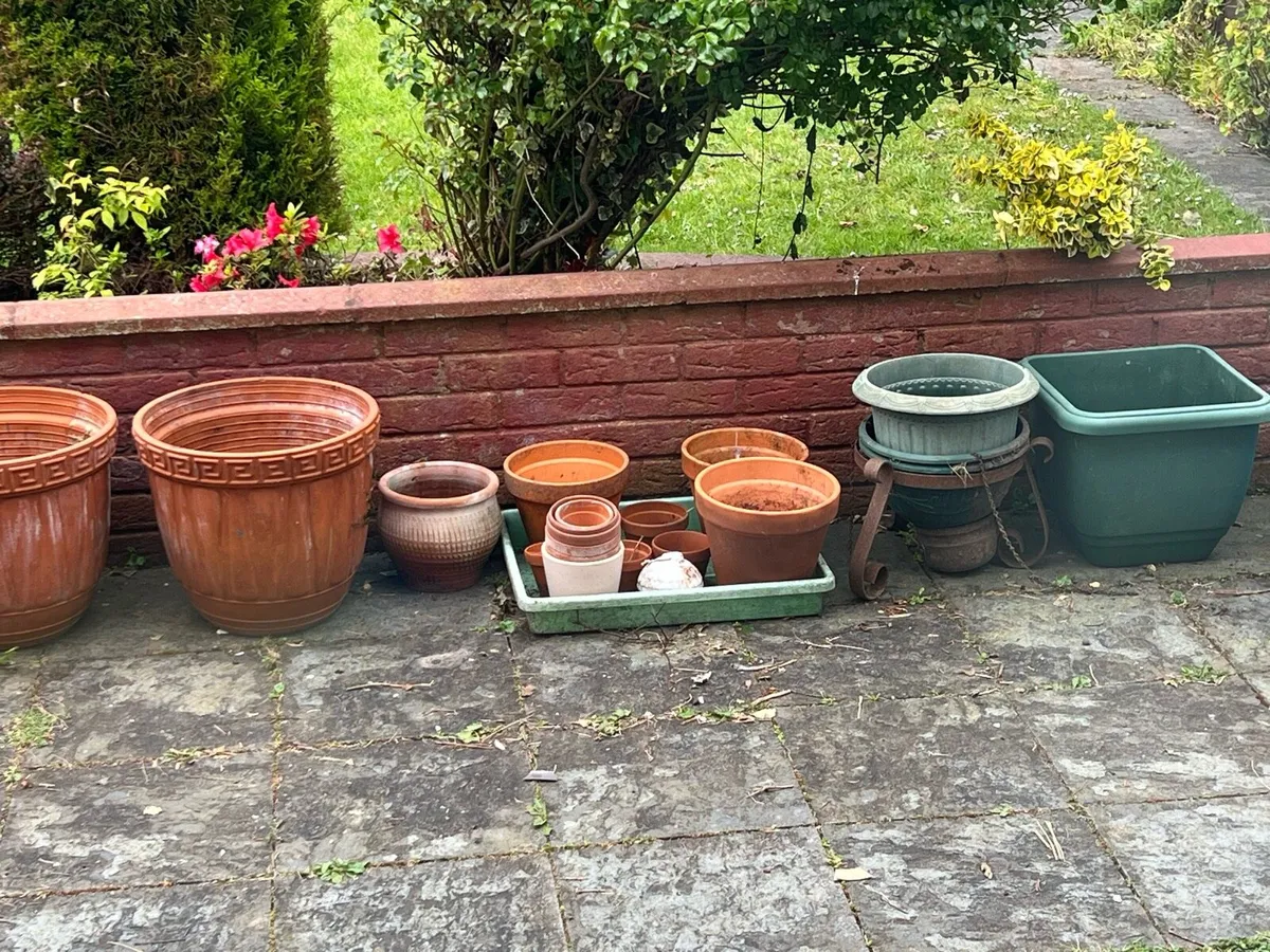 Planters - Image 3
