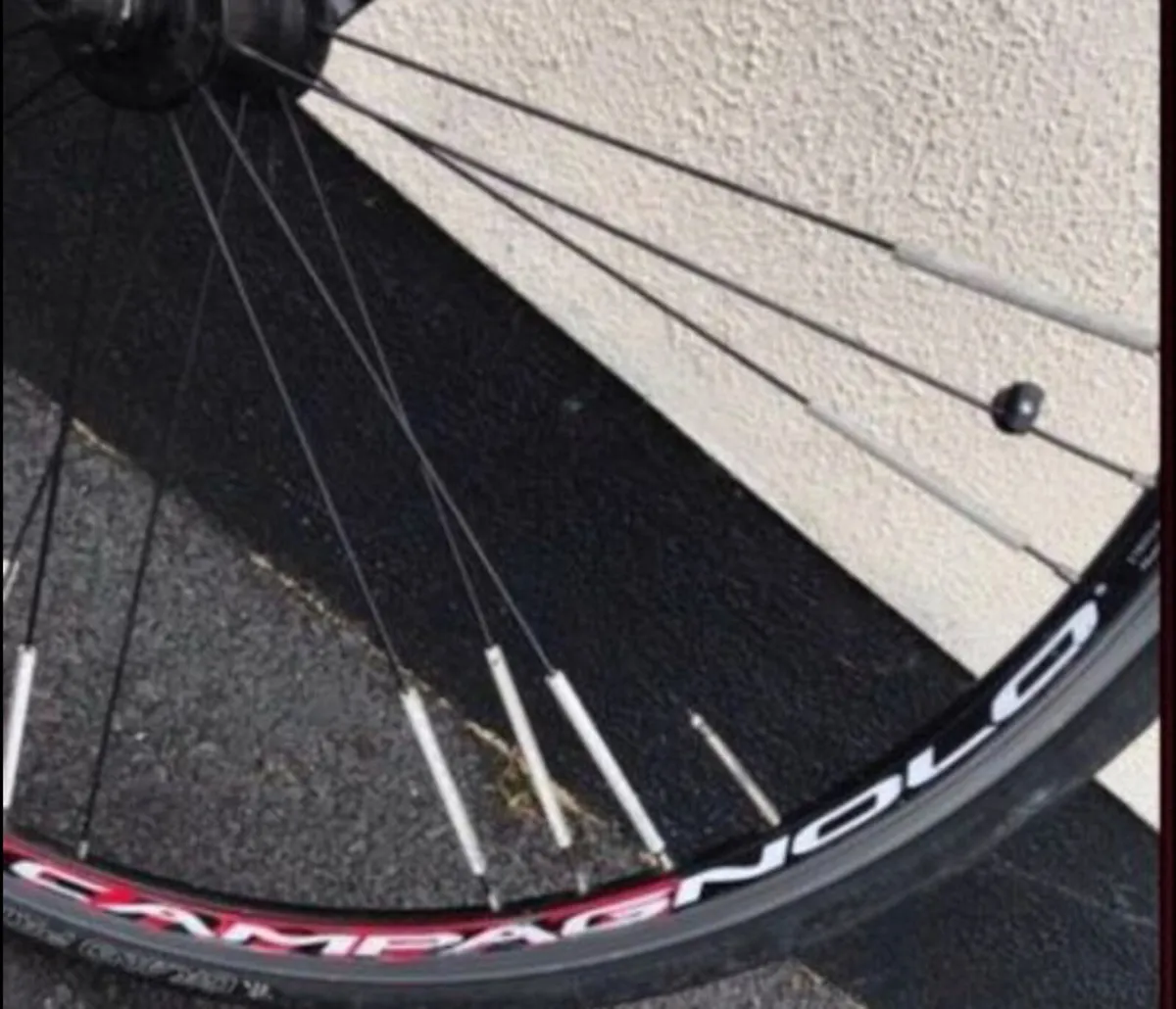 Road Racer adult bike - Image 4