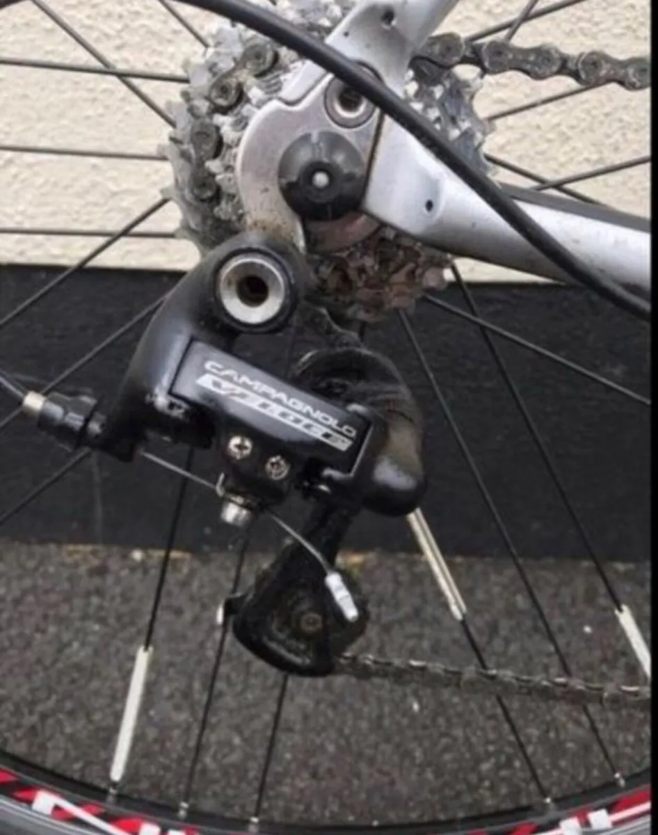 Road Racer adult bike - Image 2