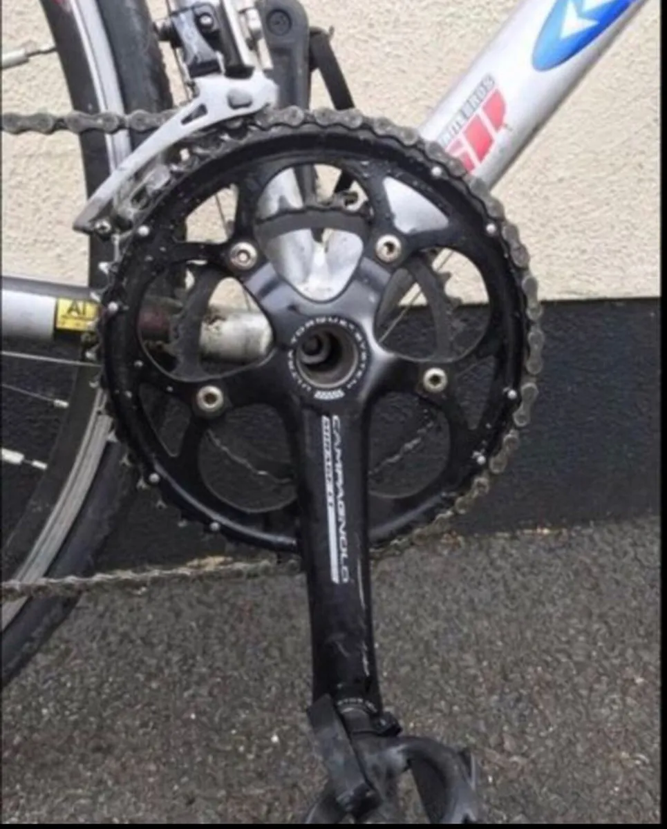 Road Racer adult bike - Image 3