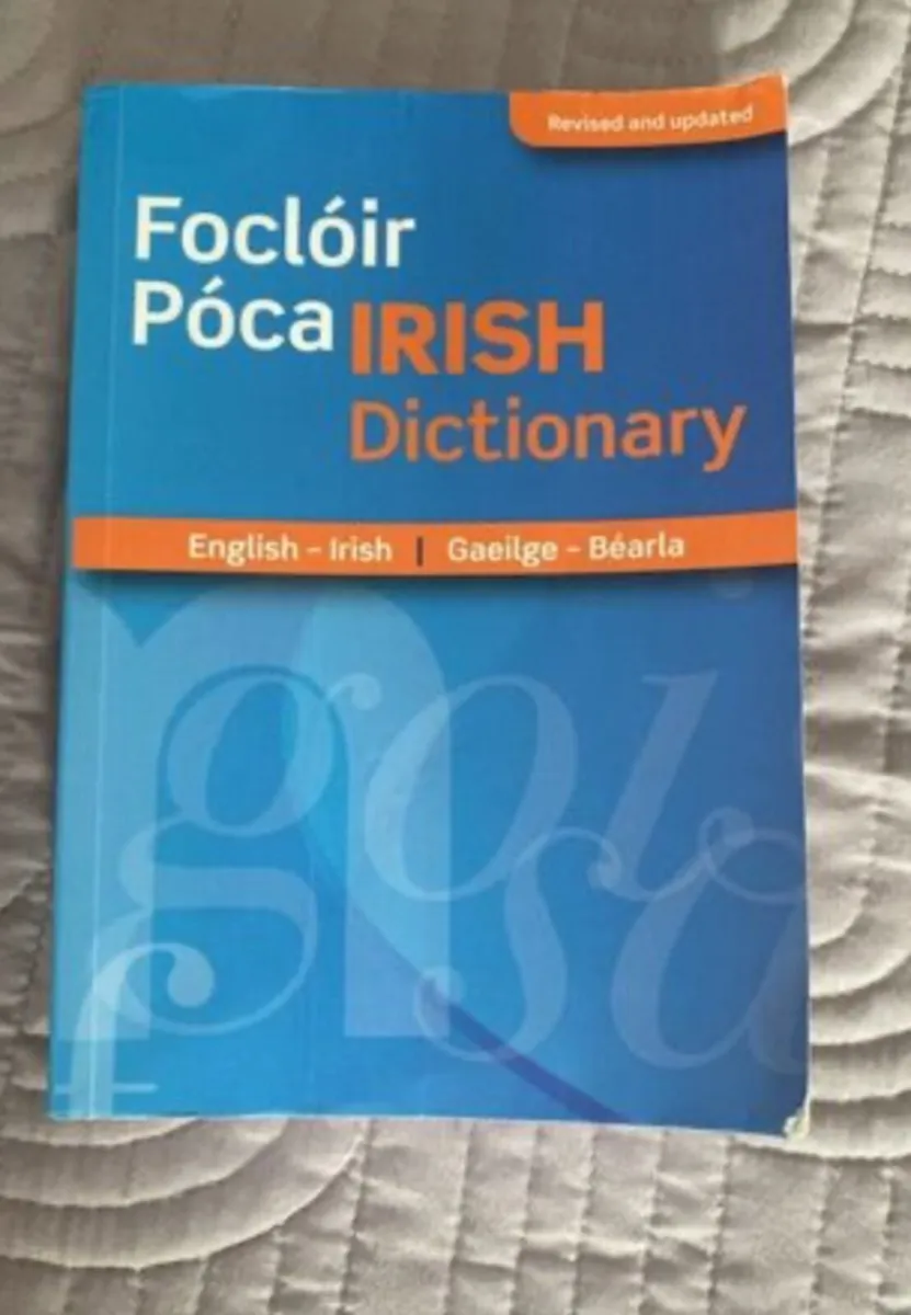 Focloir Poca/Pocket Dictionary Irish-English - Image 2