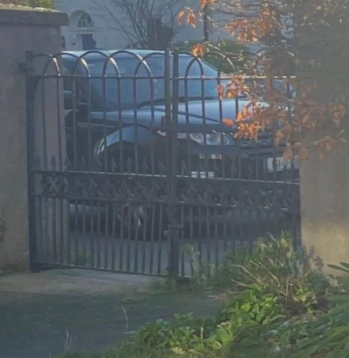 wrought iron gates - Image 3