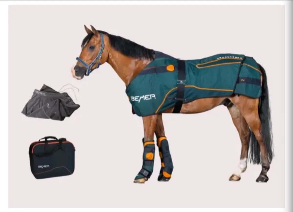 BEMER Horse set hire - Image 1