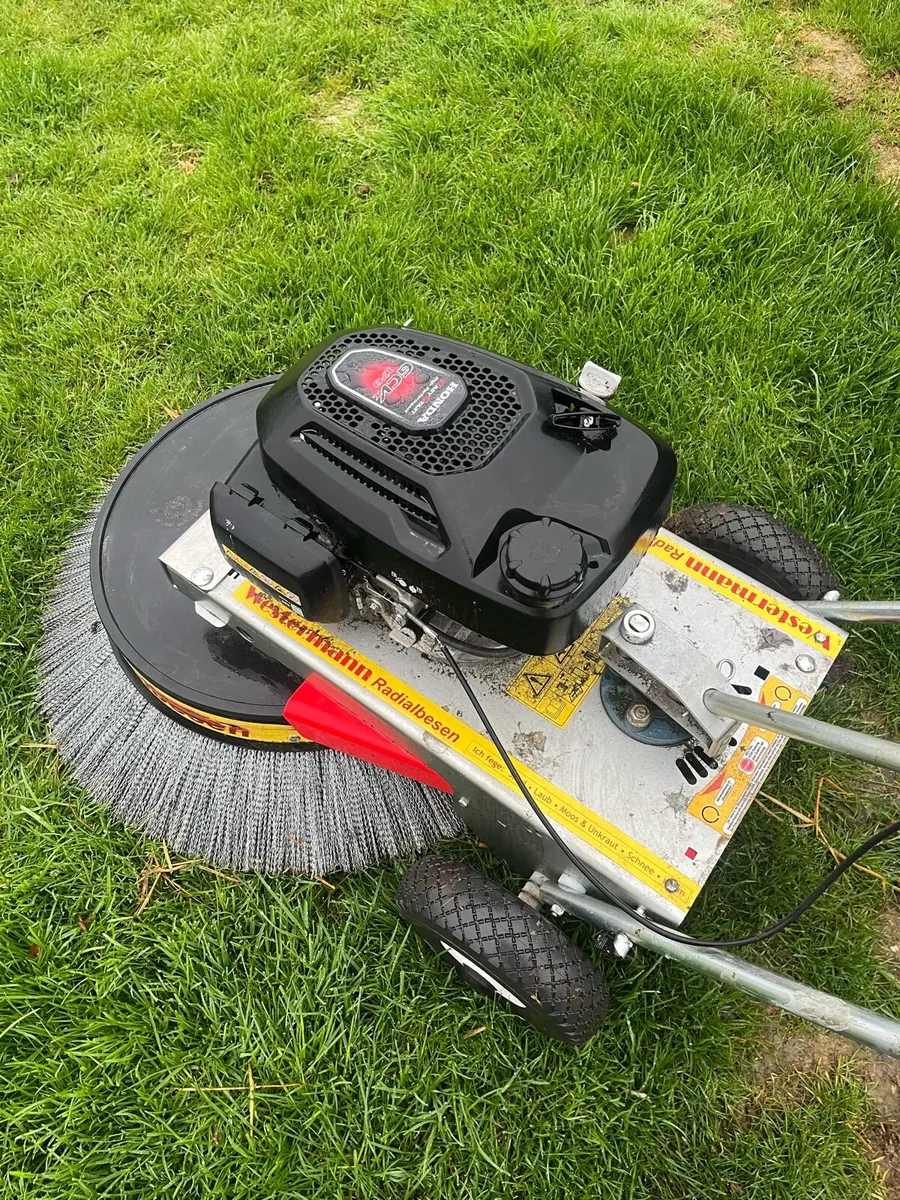 Westernman moss remover - Image 1
