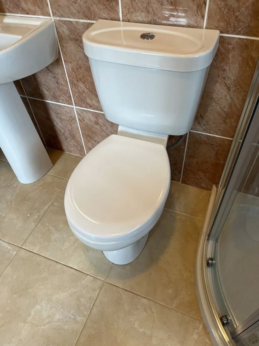 Power shower & Shower Screen - Image 2