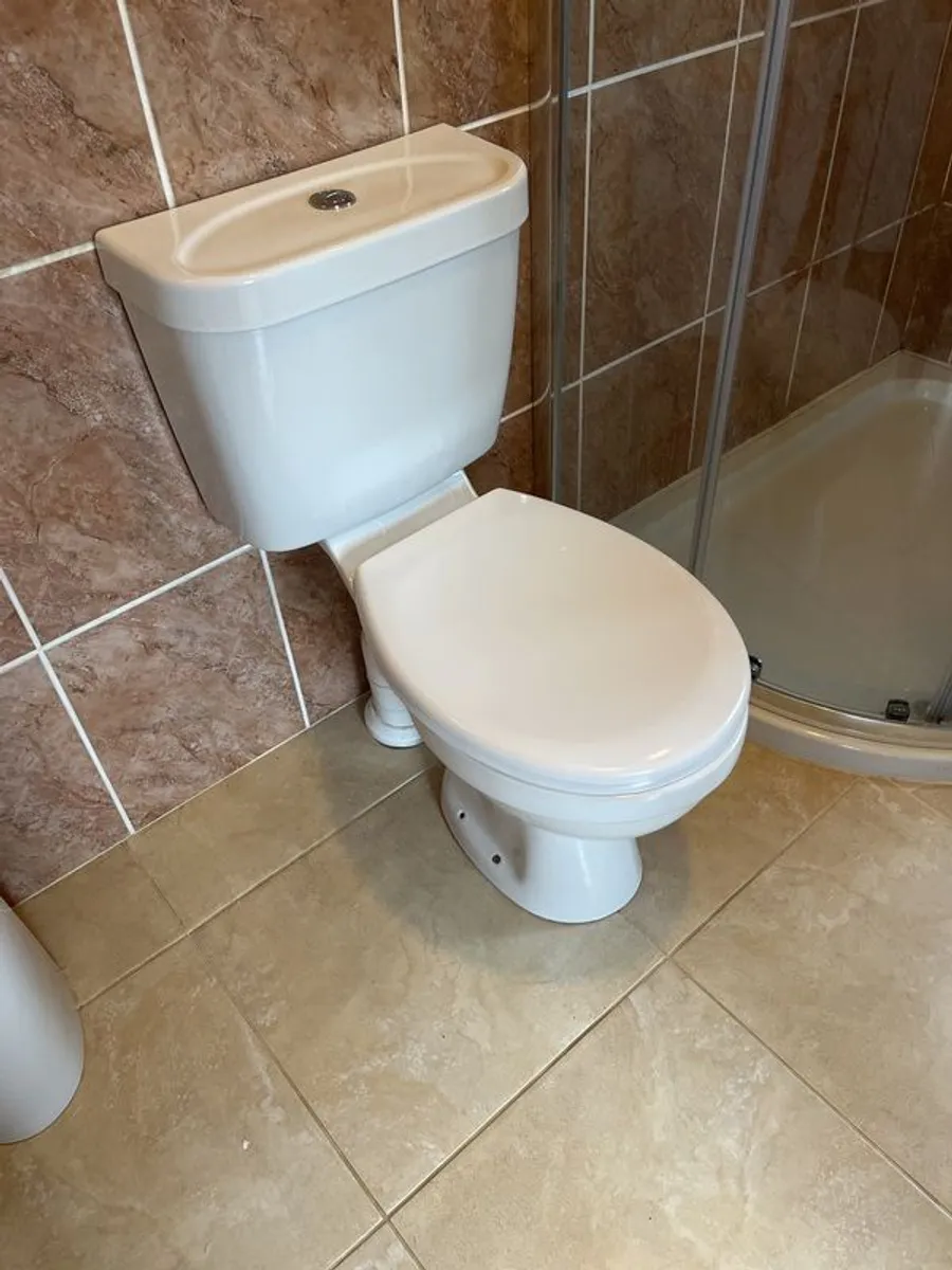 Power shower & Shower Screen - Image 3