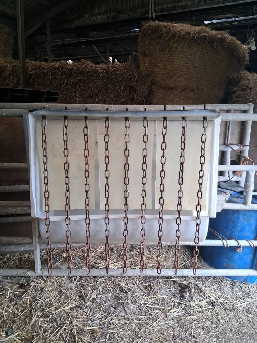 Plastic Creep Feeders