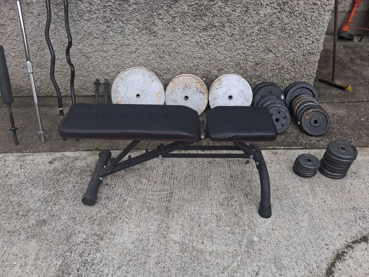 Standered Weights bars and bench - Image 1