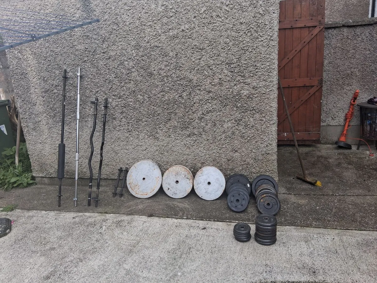 Standered Weights bars and bench - Image 2