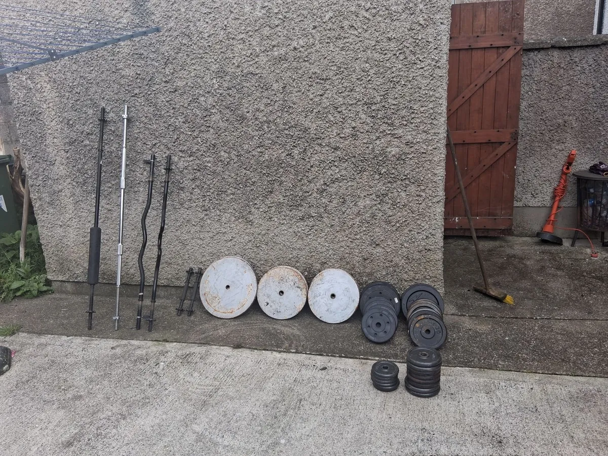Standered Weights bars and bench - Image 4