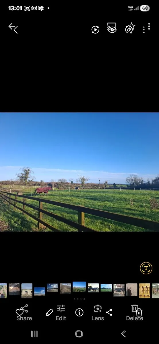 Equine, horses, grazing, livery - Image 3