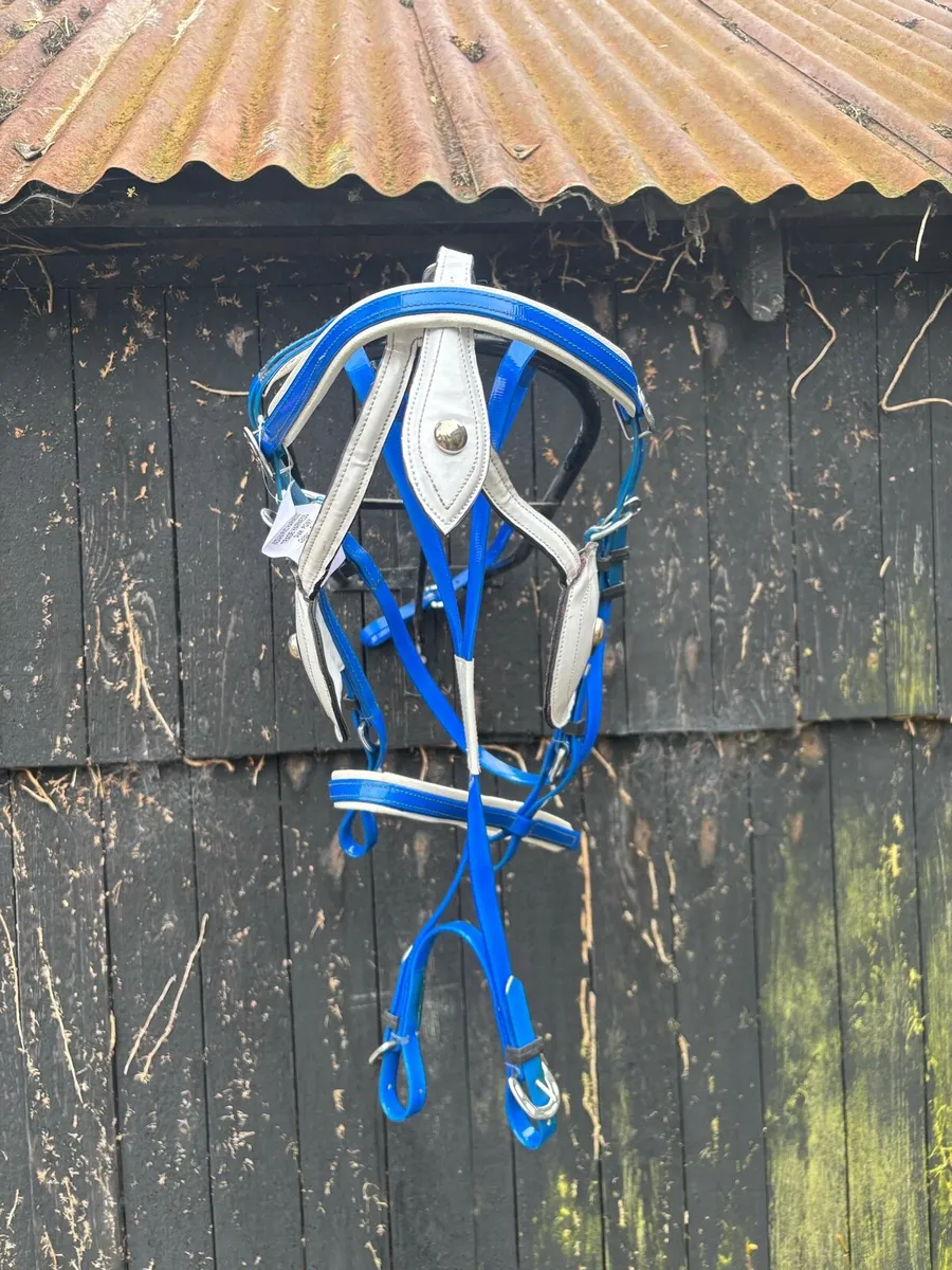 Quick hitch harness - Image 2