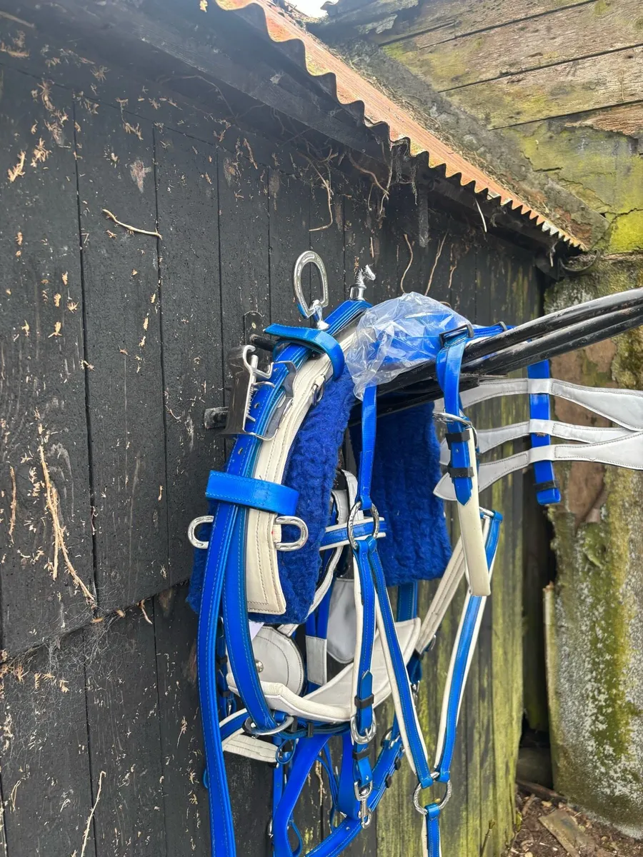 Quick hitch harness - Image 3