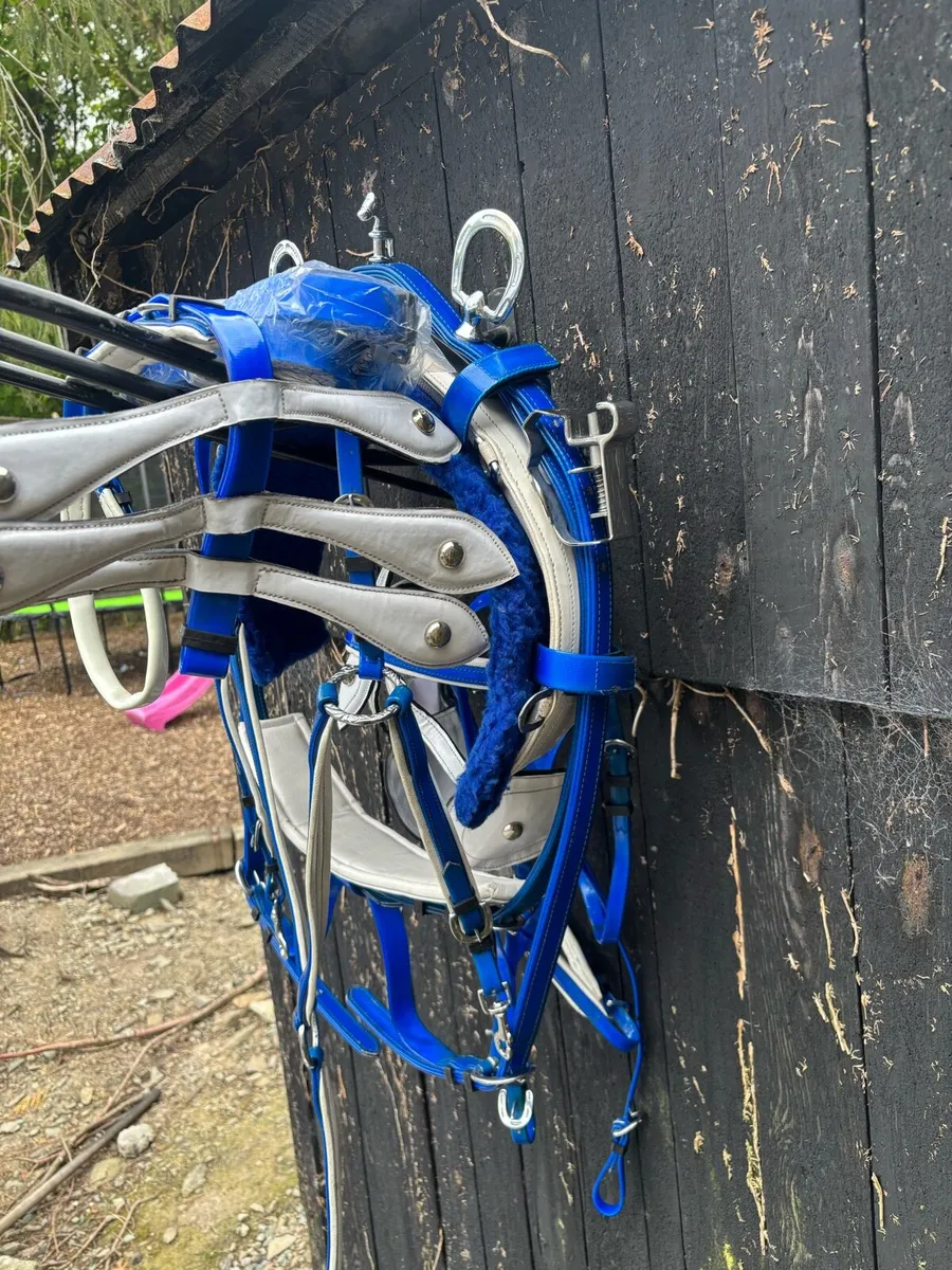 Quick hitch harness - Image 4