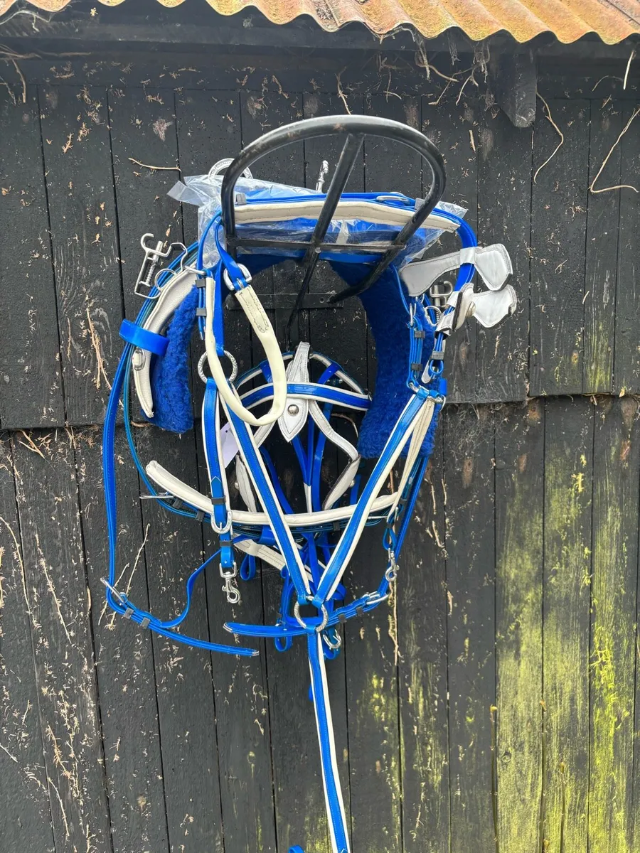 Quick hitch harness - Image 1