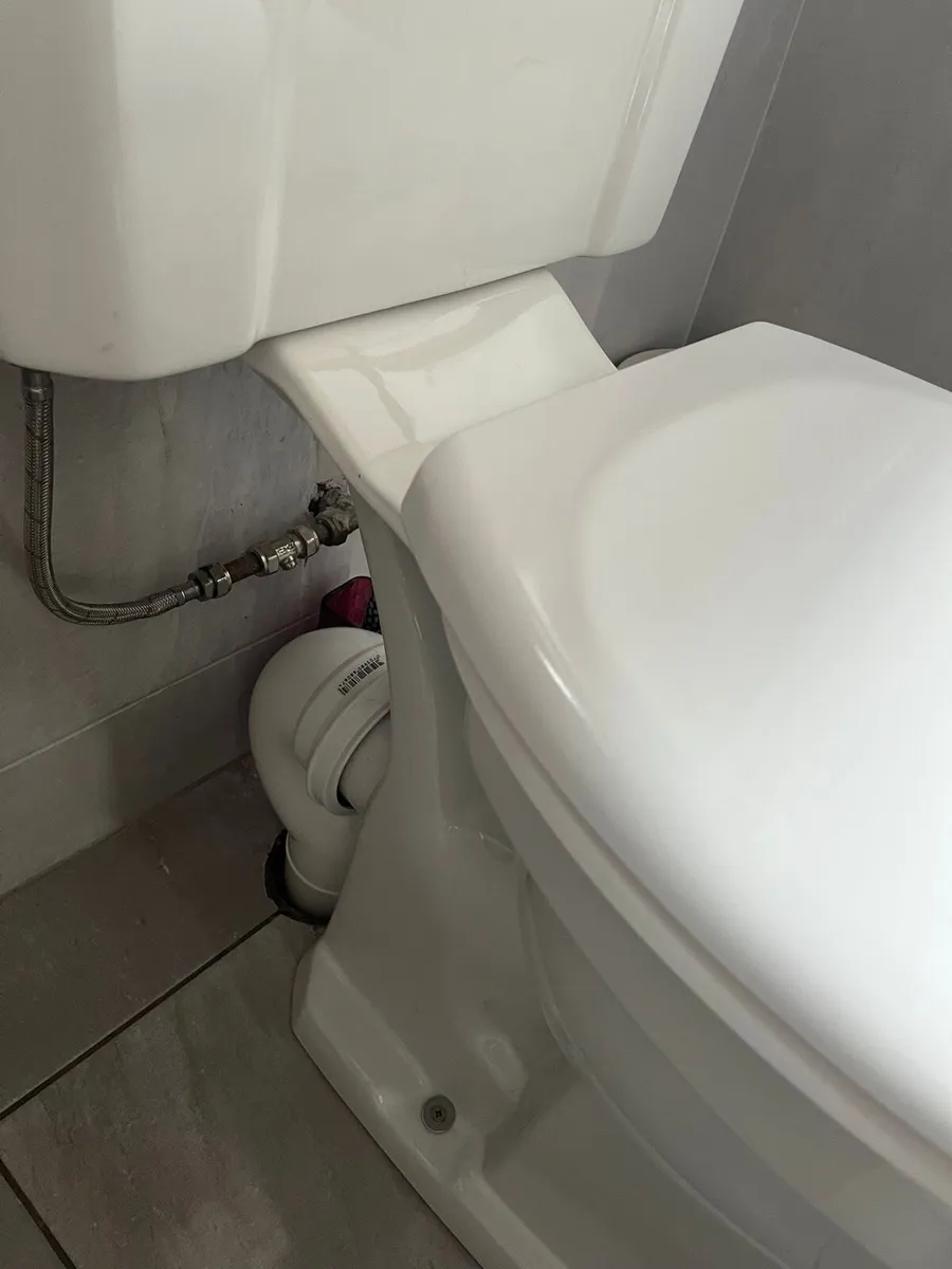 Comfort Height Toilet - Image 2