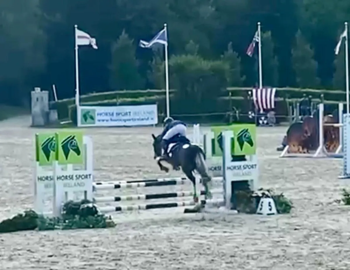 Super 12.2 Pony - Image 1