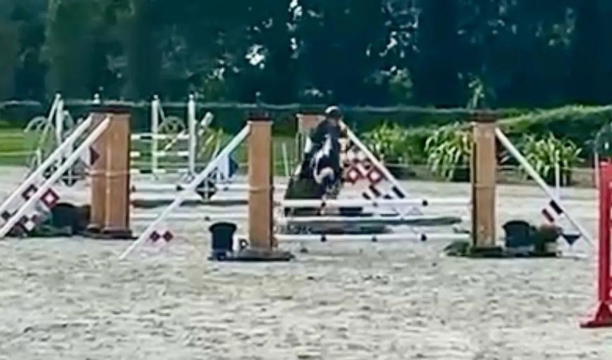 Super 12.2 Pony - Image 2