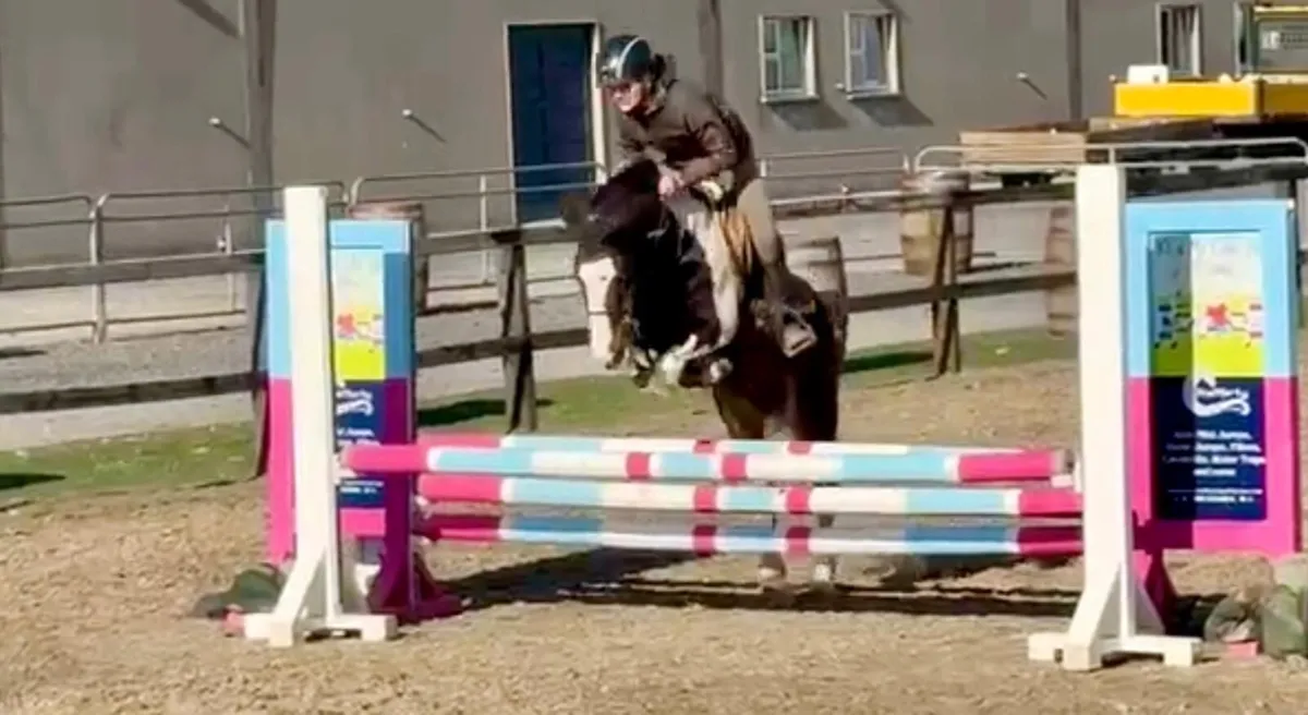 Super 12.2 Pony - Image 4