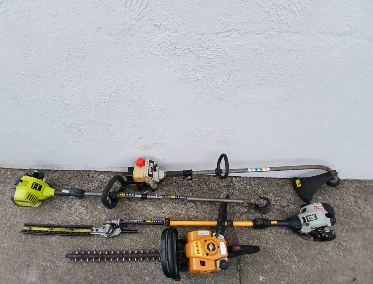 2 Hedgecutters & 2 Grass Strimmers - Image 2