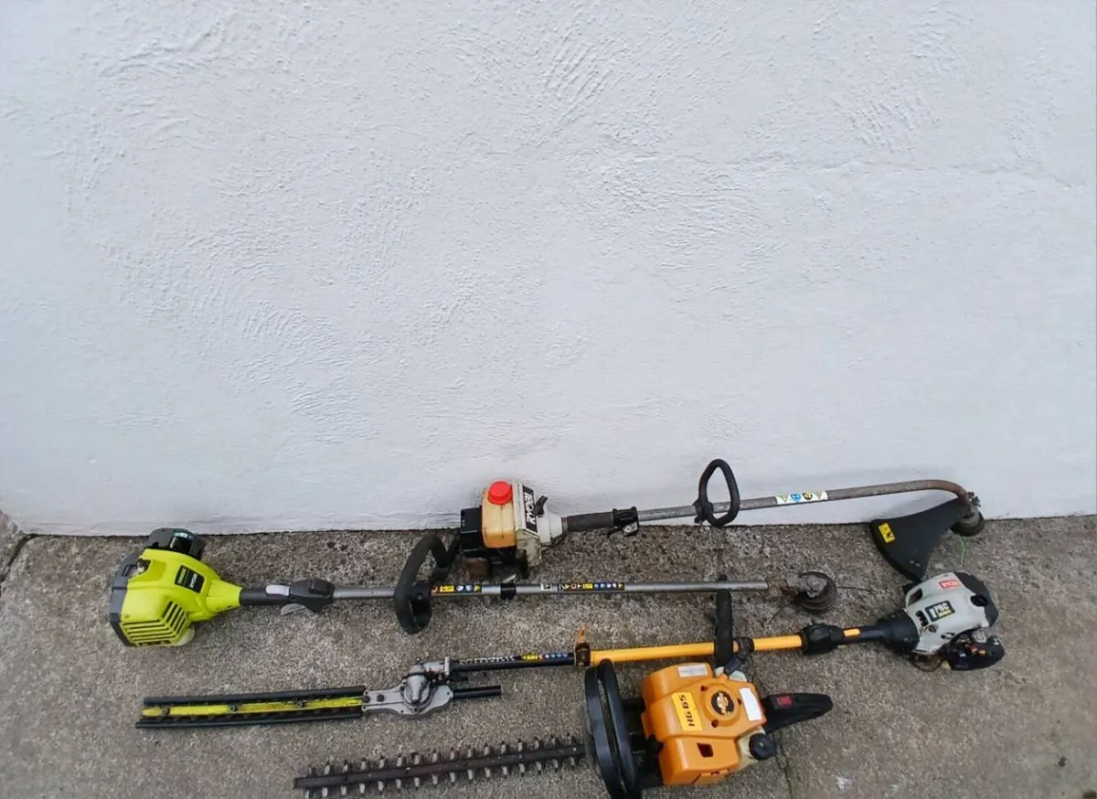 2 Hedgecutters & 2 Grass Strimmers - Image 3
