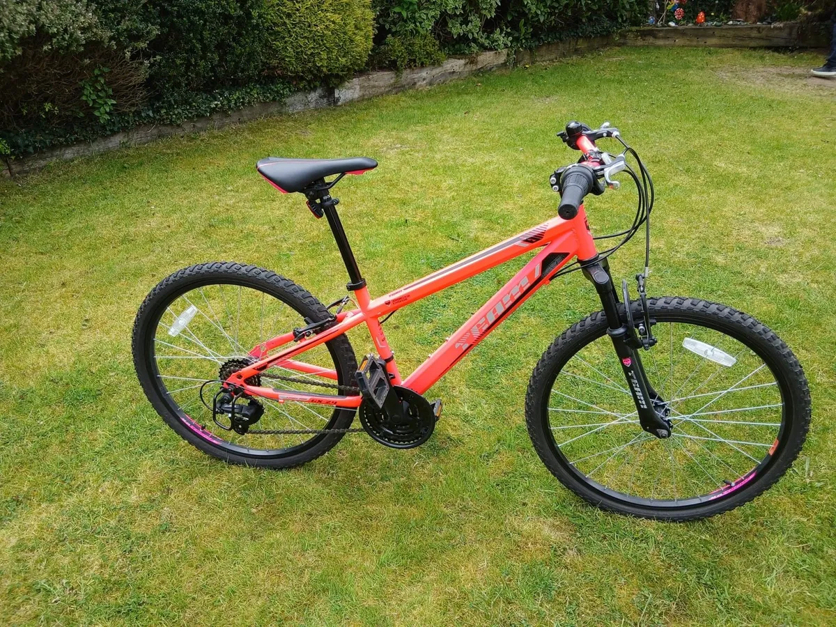 24 Inch Mountain Bike - Image 1