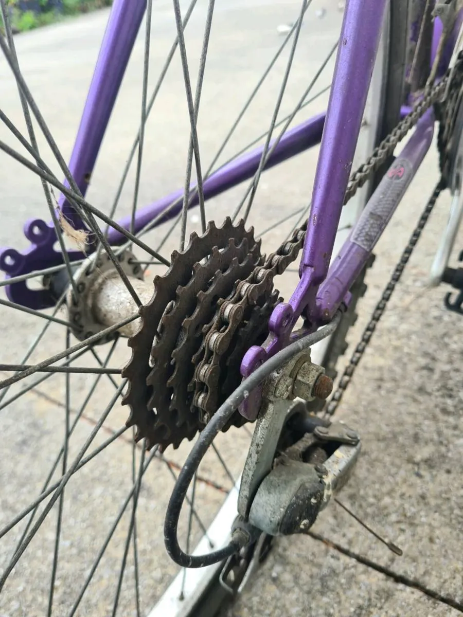 Girls Bike - Image 4