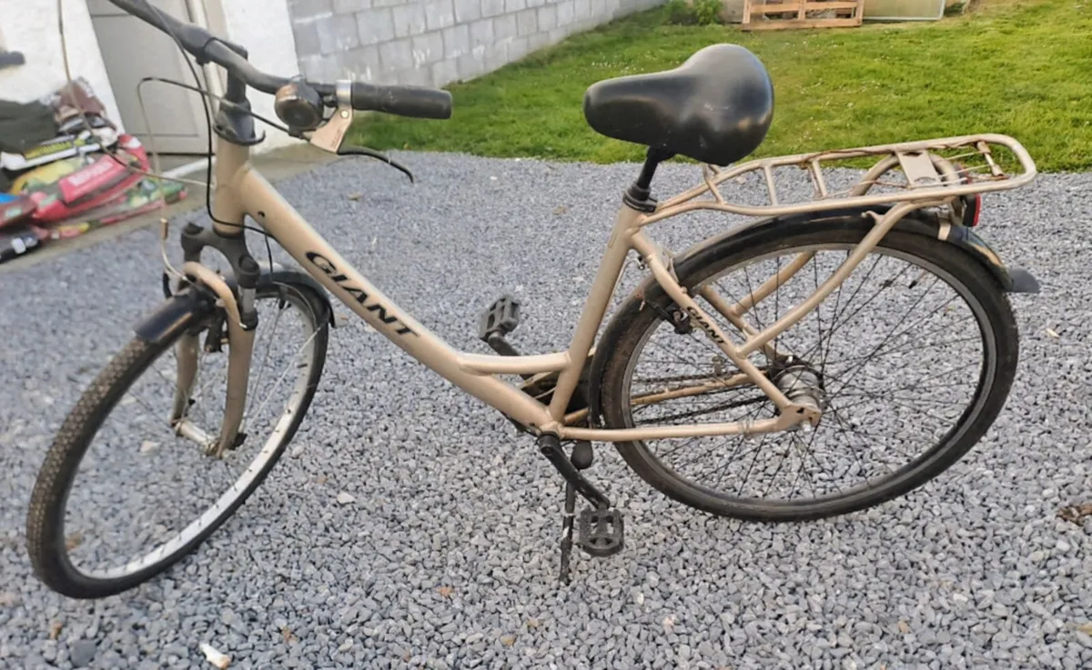 Ladies bike