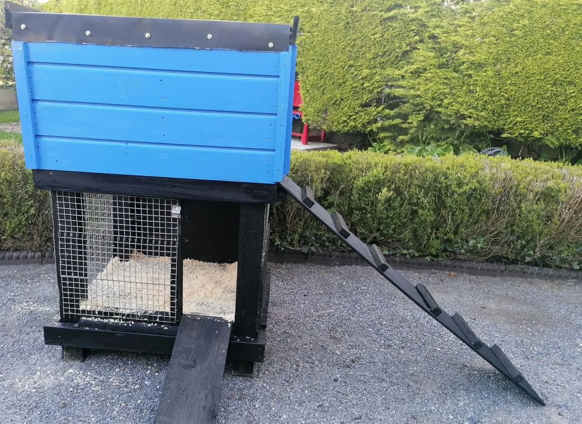 New Starter Duck  & Hen House all in one - Image 2