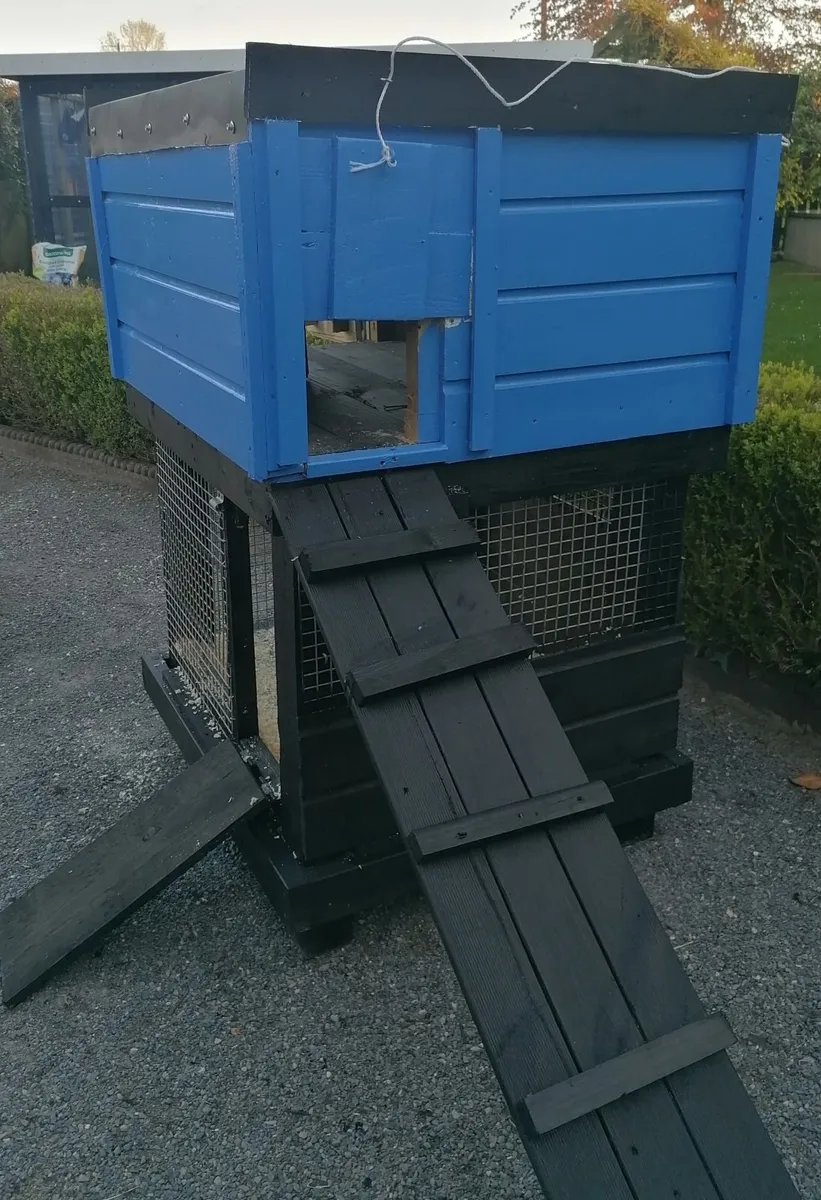 New Starter Duck  & Hen House all in one - Image 3