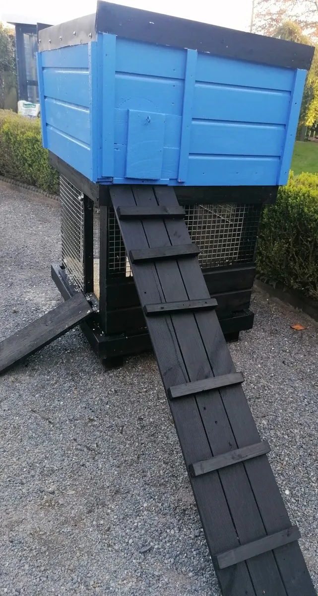 New Duck  & Hen House - all in one - Image 4