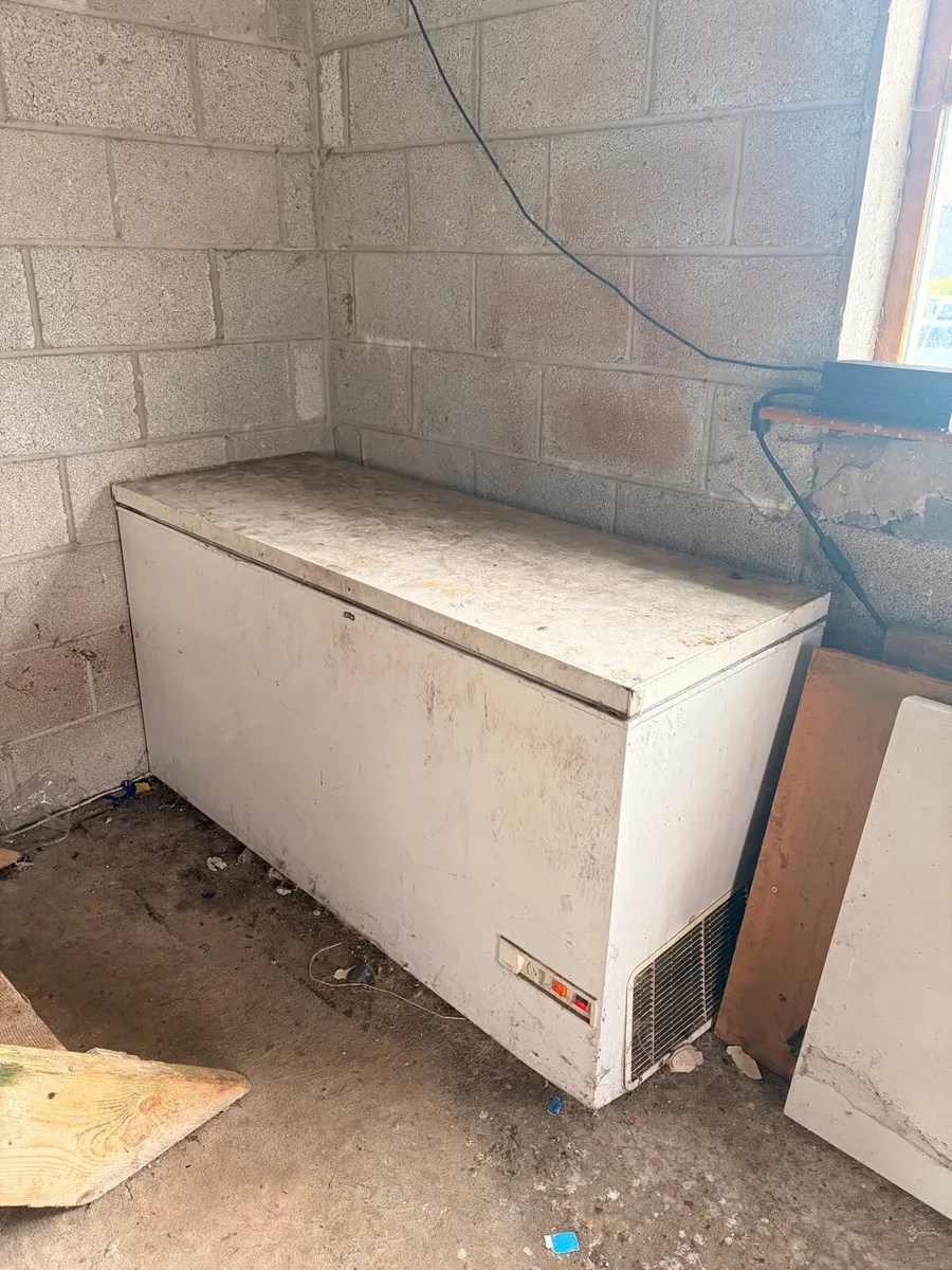 5ft Chest Freezer - Free - Image 2