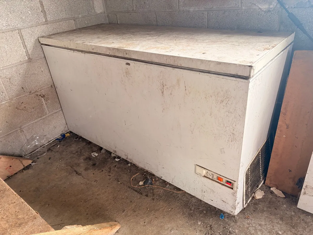 5ft Chest Freezer - Free - Image 4