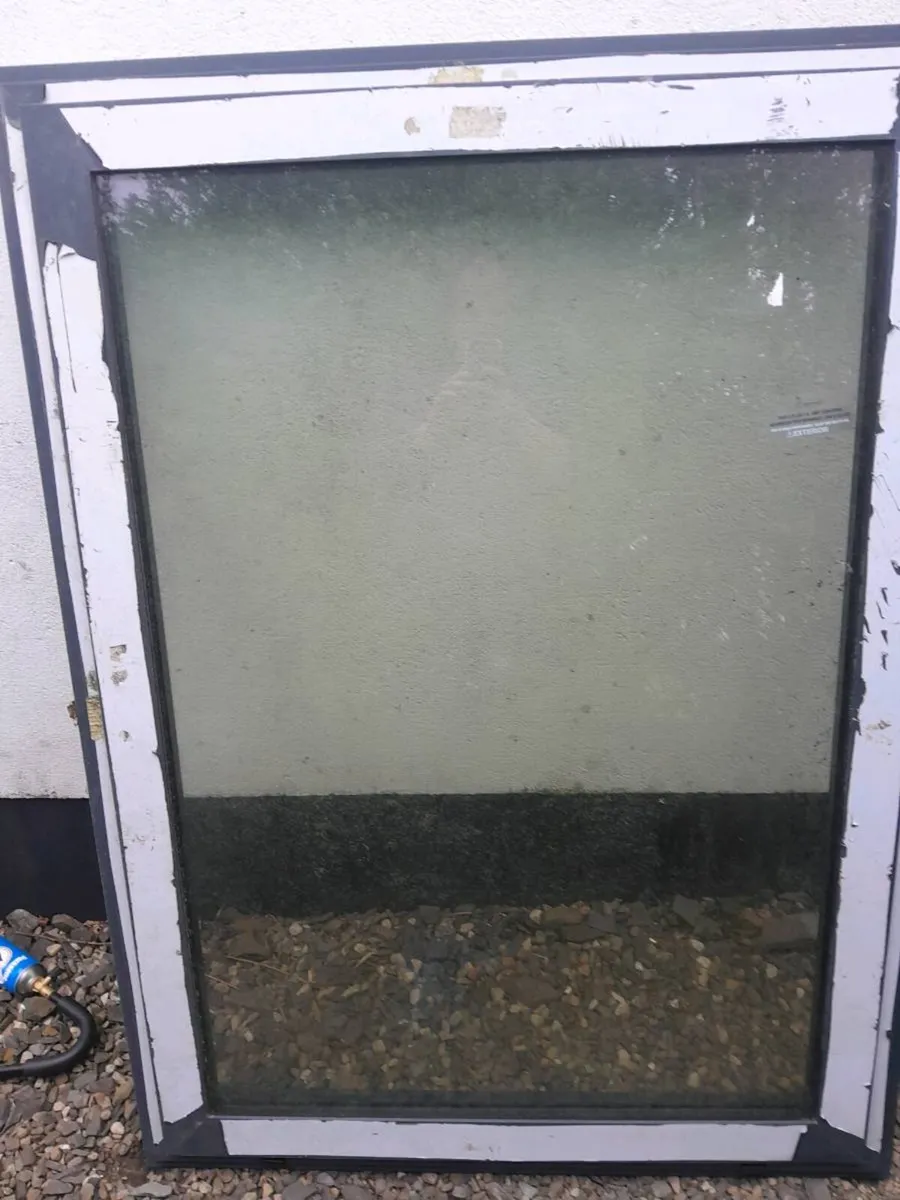 Window - Image 1