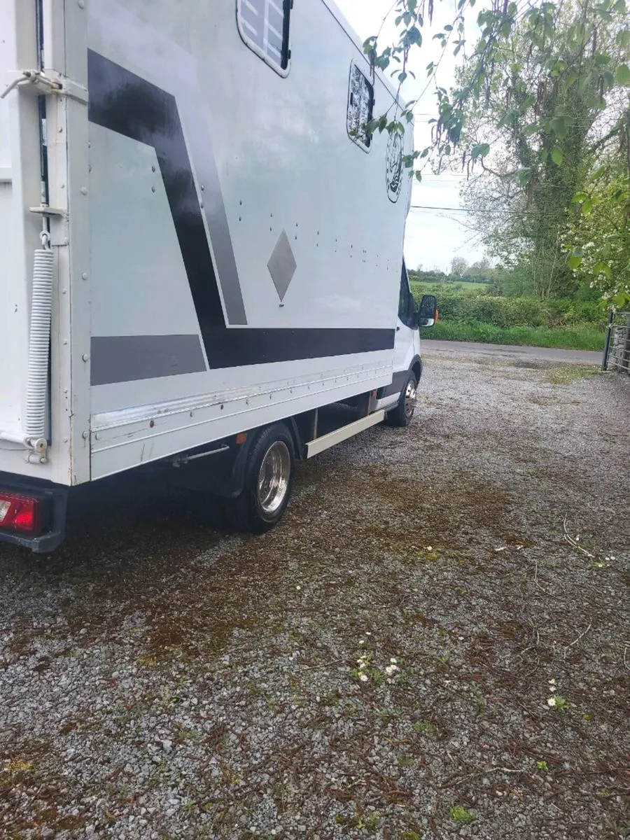 3.5 FORD TRANSIT HORSE LORRY - Image 2