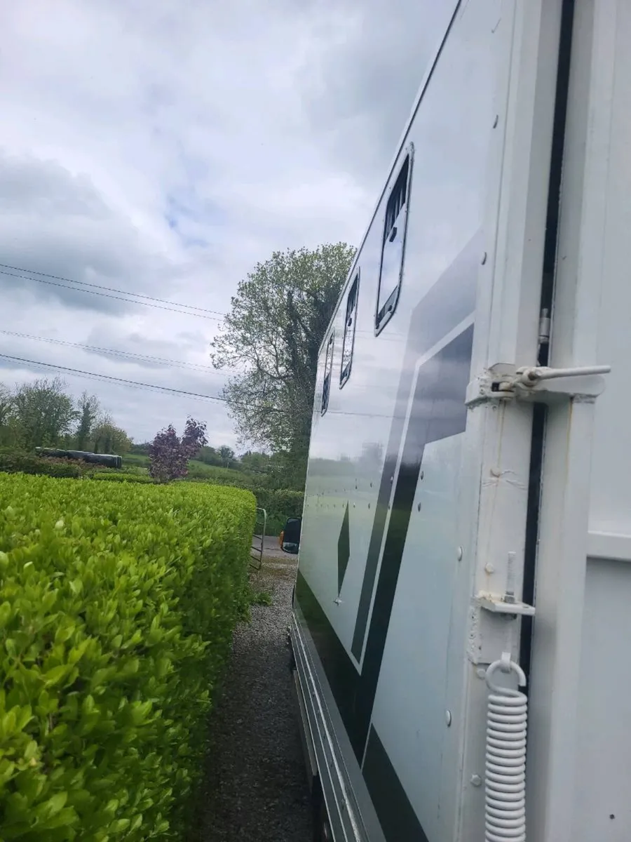 3.5 FORD TRANSIT HORSE LORRY - Image 3